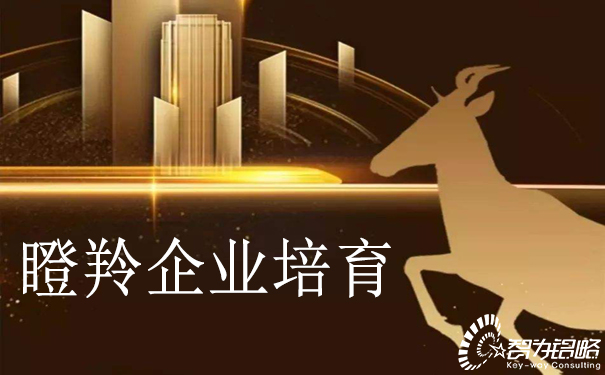 關(guān)于印發(fā)蘇州高新區(qū)瞪羚企業(yè)培育實(shí)施意見(jiàn)通知