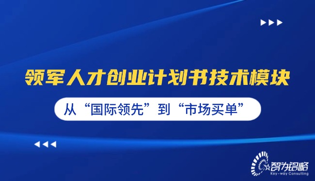 領(lǐng)軍人才創(chuàng)業(yè)計(jì)劃書技術(shù)模塊—從“國(guó)際**”到“市場(chǎng)買單”.jpg